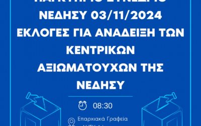 ΥΠΟΨΗΦΙΟΤΗΤΕΣ ΠΡΙΝ ΤΟ ΠΑΓΚΥΠΡΙΟ ΣΥΝΕΔΡΙΟ ΝΕΔΗΣΥ 03/11/2024